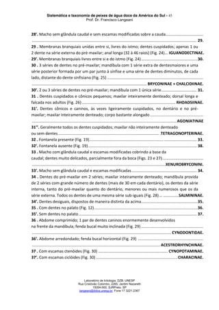 Sistemática e taxonomia de peixes de água doce da América do Sul - 45
Prof. Dr. Francisco Langeani
Laboratório de Ictiologia, DZB, UNESP
Rua Cristóvão Colombo, 2265, Jardim Nazareth
15054-000, SJRPreto, SP
langeani@ibilce.unesp.br, Fone 17 3221.2367
28’. Macho sem glândula caudal e sem escamas modificadas sobre a cauda..................................
..................................................................................................................................................... 29.
29 . Membranas branquiais unidas entre si, livres do istmo; dentes cuspidados; apenas 1 ou
2 dente na série externa do pré-maxilar; anal longa (32 à 46 raios) (Fig. 24)... IGUANODECTINAE.
29’. Membranas branquiais livres entre si e do istmo (Fig. 24)...................................................30.
30 . 3 séries de dentes no pré-maxilar; mandíbula com 1 série extra de dentesmaiores e uma
série posterior formada por um par junto à sínfise e uma série de dentes diminutos, de cada
lado, distante do dente sinfisiano (Fig. 25) .......................................................................................
........................................................................................................ BRYCONINAE + CHALCIDIINAE.
30’. 2 ou 3 séries de dentes no pré-maxilar; mandíbula com 1 única série................................ 31.
31 . Dentes cuspidados e cônicos pequenos; maxilar inteiramente denteado; dorsal longa e
falcada nos adultos (Fig. 26)..................................................................................... RHOADSIINAE.
31’. Dentes cônicos e caninos, às vezes ligeiramente cuspidados, no dentário e no pré-
maxilar; maxilar inteiramente denteado; corpo bastante alongado................................................
...................................................................................................................................AGONIATINAE
31’’. Geralmente todos os dentes cuspidados; maxilar não inteiramente denteado
ou sem dentes ........................................................................................... .TETRAGONOPTERINAE.
32 . Fontanela presente (Fig. 19)................................................................... ............................. 33.
32’. Fontanela ausente (Fig. 19)....................................................... .......................................... 38.
33 . Macho com glândula caudal e escamas modificadas cobrindo a base da
caudal; dentes muito delicados, parcialmente fora da boca (Figs. 23 e 27).....................................
.........................................................................................................................XENUROBRYCONINI.
33’. Macho sem glândula caudal e escamas modificadas........................................................... 34.
34 . Dentes do pré-maxilar em 2 séries; maxilar inteiramente denteado; mandíbula provida
de 2 séries com grande número de dentes (mais de 30 em cada dentário), os dentes da série
interna, tanto do pré-maxilar quanto do dentário, menores ou mais numerosos que os da
série externa. Todos os dentes de uma mesma série sub-iguais (Fig. 28)... ..............SALMININAE.
34’. Dentes desiguais, dispostos de maneira distinta da acima...................................................35.
35 . Com dentes no palato (Fig. 12)..............................................................................................36.
35’. Sem dentes no palato........................................................................................................... 37.
36 . Abdome comprimido; 1 par de dentes caninos enormemente desenvolvidos
na frente da mandíbula; fenda bucal muito inclinada (Fig. 29) ........................................................
.............................................................................................................................. CYNODONTIDAE.
36’. Abdome arredondado; fenda bucal horizontal (Fig. 29) ...........................................................
.................................................................................................................... ACESTRORHYNCHINAE.
37 . Com escamas ctenóides (Fig. 30) ............................................................... CYNOPOTAMINAE.
37’. Com escamas ciclóides (Fig. 30) ..........................................................................CHARACINAE.
 