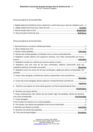 Sistemática e taxonomia de peixes de água doce da América do Sul - 47
Prof. Dr. Francisco Langeani
Laboratório de Ictiologia, DZB, UNESP
Rua Cristóvão Colombo, 2265, Jardim Nazareth
15054-000, SJRPreto, SP
langeani@ibilce.unesp.br, Fone 17 3221.2367
Chave para gêneros de Cynodontidae
1. Região abdominal (distância entre a peitoral e a anal) maior que a base da nadadeira anal....2
1’. Região abdominal menor que a base da anal ...............................................................Cynodon
2. Dorsal situada sobre a anal .......................................................................................Rhaphiodon
2’. Dorsal situada à frente da anal.................................................................................. Hydrolycus
Chave para gêneros de Anostomidae
1. Boca terminal ou um pouco voltada para baixo .........................................................................2
1’. Boca voltada para cima ..............................................................................................................6
2. Dentes multicuspidados ...............................................................................................Schizodon
2’. Dentes não multicuspidados, entalhados mais ou menos profundamente ..............................3
3. Nadadeira caudal coberta com pequenas escamas, seus lobos atravessados por barras
escuras..............................................................................................................................Leporellus
3’. Nadadeira caudal nua, coberta por escamas apenas na base ...................................................4
4. Nadadeira anal com mais de 10 raios ramificados; abdome comprimido atrás das
nadadeiras pélvicas, formando uma quilha .....................................................................Abramites
4’. Nadadeira anal com menos de 10 raios ramificados; região pós-pélvica arredondada, não
quilhada...........................................................................................................................................5
3. Corpo muito alongado, cilindriforme; dentes comprimidos muito assimétricos ........................
..........................................................................................................................................Rhytiodus
5’. Corpo não muito alongado; dentes espessos e freqüentemente assimétricos...........................
...........................................................................................................................................Leporinus
6. Dentário com apenas um único dente grande e em forma aproximada de foice ......................
..................................................................................................................................... Gnathodolus
6’. Dentário com quatro dentes ......................................................................................................7
7. Corpo relativamente alto; dentes do pré-maxilar algo tricuspidados; dentes do dentário
com coroa arredondada............................................................................................Anostomoides
7’. Corpo alongado ..........................................................................................................................8
8. Pré-maxilar com dentes tri ou multicuspidados .........................................................................9
8’. Pré-maxilar com dentes bicuspidados ou de coroa arredondada ...........................................11
9. Dentário com dentes truncados.................................................................................. Laemolyta
9’. Dentário com dentes bicuspidados..........................................................................................10
10. Três raios branquiostégios ........................................................................................Pseudanos
 