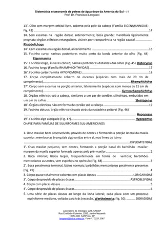 Sistemática e taxonomia de peixes de água doce da América do Sul - 51
Prof. Dr. Francisco Langeani
Laboratório de Ictiologia, DZB, UNESP
Rua Cristóvão Colombo, 2265, Jardim Nazareth
15054-000, SJRPreto, SP
langeani@ibilce.unesp.br, Fone 17 3221.2367
13’. Olho sem margem orbital livre, coberto pela pele da cabeça (Família EIGENMANNIDAE;
Fig. 43) ...........................................................................................................................................14
14. Sem escamas na região dorsal, anteriormente; boca grande; mandíbula ligeiramente
prognata; órgãos elétricos retangulares, visíveis por transparência na região caudal ....................
Rhabdolichops
14’. Com escamas na região dorsal, anteriormente .....................................................................15
15. Focinho curto; narinas posteriores muito perto da borda anterior do olho (Fig. 44)
Eigenmannia
15’. Focinho longo, às vezes cônico; narinas posteriores distantes dos olhos (Fig. 45) Distocyclus
16. Focinho longo (Família RHAMPHICHTHYIDAE)........................................................................17
16’. Focinho curto (Família HYPOPOMIDAE).................................................................................18
17. Corpo completamente coberto de escamas (espécies com mais de 20 cm de
comprimento)..........................................................................................................Rhamphichthys
17’. Corpo sem escamas na porção anterior, lateralmente (espécies com menos de 15 cm de
comprimento)...............................................................................................Gymnorhamphichthys
18. Órgãos elétricos sob a cabeça, similares a um par de cordões cilíndricos, embutidos em
um par de calhas........................................................................................................... Steatogenys
18’. Órgãos elétricos não em forma de cordão sob a cabeça .......................................................19
19. Focinho obtuso; órgão elétrico situado atrás da nadadeira peitoral (Fig. 46)
........................................................................................................................................ Hypopygus
19’. Focinho algo alongado (Fig. 47)..............................................................................Hypopomus
CHAVE PARA FAMÍLIAS DE SILURIFORMES SUL-AMERICANOS
1. Osso maxilar bem desenvolvido, provido de dentes e formando a porção lateral da maxila
superior; membranas branquiais algo unidas entre si, mas livres do istmo
................................................................................................................................DIPLOMYSTIDAE
1’. Osso maxilar pequeno, sem dentes, formando a porção basal do barbilhão maxilar;
margem da maxila superior formada apenas pelo pré-maxilar......................................................2
2. Boca inferior; lábios largos, freqüentemente em forma de ventosa; barbilhões
mentonianos ausentes, sem espinhos no opérculo (Fig. 48)..........................................................3
2’. Boca geralmente terminal, lábios normais; barbilhões mentonianos geralmente presentes
(Fig. 49) ............................................................................................................................................4
3. Corpo quase totalmente coberto com placas ósseas ............................................LORICARIIDAE
3’. Corpo desprovido de placas ósseas................................................................... ASTROBLEPIDAE
4. Corpo com placas ósseas.............................................................................................................5
4’. Corpo desprovido de placas ósseas............................................................................................6
4. Uma série de placas ósseas ao longo da linha lateral; cada placa com um processo
espiniforme mediano, voltado para trás (exceção, Wertheimeria; Fig. 50)............DORADIDAE
 