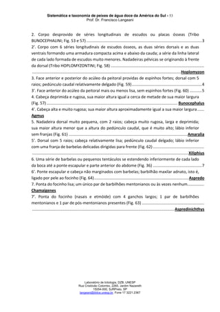 Sistemática e taxonomia de peixes de água doce da América do Sul - 53
Prof. Dr. Francisco Langeani
Laboratório de Ictiologia, DZB, UNESP
Rua Cristóvão Colombo, 2265, Jardim Nazareth
15054-000, SJRPreto, SP
langeani@ibilce.unesp.br, Fone 17 3221.2367
2. Corpo desprovido de séries longitudinais de escudos ou placas ósseas (Tribo
BUNOCEPHALINI; Fig. 53 e 57) ........................................................................................................3
2’. Corpo com 6 séries longitudinais de escudos ósseos, as duas séries dorsais e as duas
ventrais formando uma armadura compacta acima e abaixo da cauda; a série da linha lateral
de cada lado formada de escudos muito menores. Nadadeiras pélvicas se originando à frente
da dorsal (Tribo HOPLOMYZONTINI; Fig. 58) ....................................................................................
......................................................................................................................................Hoplomyzon
3. Face anterior e posterior do acúleo da peitoral providas de espinhos fortes; dorsal com 5
raios; pedúnculo caudal relativamente delgado (Fig. 59)...............................................................4
3’. Face anterior do acúleo da peitoral mais ou menos lisa, sem espinhos fortes (Fig. 60) ...........5
4. Cabeça deprimida e rugosa, sua maior altura igual a cerca de metade de sua maior largura
(Fig. 57) ...................................................................................................................... Bunocephalus
4’. Cabeça alta e muito rugosa; sua maior altura aproximadamente igual a sua maior largura......
Agmus
5. Nadadeira dorsal muito pequena, com 2 raios; cabeça muito rugosa, larga e deprimida;
sua maior altura menor que a altura do pedúnculo caudal, que é muito alto; lábio inferior
sem franjas (Fig. 61) ...........................................................................................................Amaralia
5’. Dorsal com 5 raios; cabeça relativamente lisa; pedúnculo caudal delgado; lábio inferior
com uma franja de barbelas delicadas dirigidas para frente (Fig. 62) ..............................................
.............................................................................................................................................Xiliphius
6. Uma série de barbelas ou pequenos tentáculos se estendendo inferiormente de cada lado
da boca até a ponte escapular e parte anterior do abdome (Fig. 36) ............................................7
6’. Ponte escapular e cabeça não marginados com barbelas; barbilhão maxilar adnato, isto é,
ligado por pele ao focinho (Fig. 64).....................................................................................Aspredo
7. Ponta do focinho lisa; um único par de barbilhões mentonianos ou às vezes nenhum...............
Chamaigenes
7’. Ponta do focinho (nasais e etmóide) com 4 ganchos largos; 1 par de barbilhões
mentonianos e 1 par de pós-mentonianos presentes (Fig. 63) ........................................................
................................................................................................................................Aspredinichthys
 