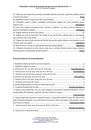 Sistemática e taxonomia de peixes de água doce da América do Sul - 58
Prof. Dr. Francisco Langeani
Laboratório de Ictiologia, DZB, UNESP
Rua Cristóvão Colombo, 2265, Jardim Nazareth
15054-000, SJRPreto, SP
langeani@ibilce.unesp.br, Fone 17 3221.2367
22’. Opérculo, pré-opérculo e processo coracóide cobertos com pele; superfície mediana dorsal
e ventral sem placas ................................................................................................................Doras
23. Barbilhão maxilar franjado com diminutas barbelas ..............................................................24
23’. Barbilhão maxilar simples; barbilhões mentonianos ligados por uma membrana basal;
adiposa curta ..................................................................................................................Nemadoras
24. Uma série mediana de placas entre a dorsal e a adiposa e, às vezes, entre as pélvicas e a
anal (em exemplares adultos) .........................................................................................Hemidoras
24’. Região mediana do dorso sem placas ....................................................................................25
25. Origem da ventral mais perto da caudal do que do focinho; adiposa não se continuando
para a frente como uma quilha.....................................................................................................26
25’. Origem da ventral mais próxima do focinho do que da caudal; adiposa continuando-se para
a frente como uma quilha .............................................................................................. Leptodoras
26. Olho de forma normal; escudos geralmente bem desenvolvidos ............................Opsodoras
26’. Diâmetro horizontal do olho muito maior que o vertical; focinho muito longo; processo
cleitral grande e arredondado posteriormente .....................................................................Hassar
Chave para gêneros de Auchenipteridae
1. Nadadeira adiposa presente, às vezes pequena.........................................................................2
1’. Nadadeira adiposa ausente......................................................................................................12
2. Ventrais com 9 a 13 raios; anal com 57 a 59 raios...........................................Pseudoepapterus
2’. Ventrais com 12 a 15 raios; anal com 32 a 49 raios.............................................Auchenipterus
2’’. Ventrais com 6 a 10 raios; anal com menos de 50 raios...........................................................3
3. Ventrais com 10 raios; anal com 13 raios............................................................... Asterophysus
3’. Ventrais com 9 a 10 raios; analç com 20 a 26 raios ...................................................................4
3’’. Ventrais com menos de 9 raios .................................................................................................6
4. Caudal obliquamente truncada ou levemente furcada ..............................................................5
4’. Caudal profundamente furcada .................................................................Pseudauchenipterus
5. Cabeça muito deprimida, com os ossos expostos e granulares; fontanela pequena, oval ou
arredondada; olho pequeno, cabendo mais que 6 vezes na cabeça ................................................
..................................................................................................................................Trachycorystes
5’. Cabeça deprimida somente na porção anterior, sua porção posterior quase tão alta quanto
larga; fontanela alongada, seu comprimento mais que 3 vezes sua largura; olho grande, menos
que 4 vezes na cabeça...................................................................................... Auchenipterichthys
7. Ventrais com 8 raios; anal com cerca de 20 (17 a 25) raios........................................................
.........................................................................................................................Pseudauchenipterus
6’. Ventrais com menos de 8 raios ..................................................................................................7
 