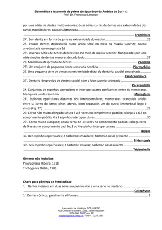 Sistemática e taxonomia de peixes de água doce da América do Sul - 62
Prof. Dr. Francisco Langeani
Laboratório de Ictiologia, DZB, UNESP
Rua Cristóvão Colombo, 2265, Jardim Nazareth
15054-000, SJRPreto, SP
langeani@ibilce.unesp.br, Fone 17 3221.2367
por uma série de dentes muito menores; duas séries curtas de dentes nas extremidades dos
ramos mandibulares; caudal subtruncada........................................................................................
....................................................................................................................................... Branchioica
24’. Sem dente em forma de garra na extremidade do maxilar...................................................25
25. Poucos dentes depressíveis numa única série no meio da maxila superior; caudal
arredondada ou emarginada 26
25’. Diversas séries de dentes depressíveis no meio da maxila superior, flanqueadas por uma
série simples de dentes menores de cada lado ............................................................................27
26. Mandíbula desprovida de dentes................................................................................ Vandellia
26’. Um conjunto de pequenos dentes em cada dentário...........................................Plectrochilus
27. Uma pequena série de dentes na extremidade distal do dentário; caudal emarginada.............
...........................................................................................................................Parabranchioica
27’. Dentário desprovido de dentes; caudal com o lobo superior alongado....................................
.................................................................................................................................... Paravandellia
28. Conjuntos de espinhos operculares e interoperculares confluentes entre si; membranas
branquiais unidas ao istmo............................................................................................Miuroglanis
28’. Espinhos operculares distantes dos interoperculares; membranas branquiais unidas
entre si, livres do istmo; olhos laterais, bem separados um do outro; interorbital largo e
chato (Fig. 77)................................................................................................................................29
29. Corpo não muito alongado; altura 4 a 8 vezes no comprimento padrão; cabeça 5 a 6,5 no
comprimento padrão; 4 a 8 espinhos interoperculares................................................................30
29’. Corpo muito alongado; altura cerca de 13 vezes no comprimento padrão; cabeça cerca
de 9 vezes no comprimento padrão; 3 ou 4 espinhos interoperculares ..........................................
...............................................................................................................................................Tridens
30. Dez espinhos operculares; 2 barbilhões maxilares; barbilhão nasal presente...........................
...................................................................................................................................... Tridentopsis
30’. Seis espinhos operculares; 1 barbilhão maxilar; barbilhão nasal ausente ................................
......................................................................................................................................Tridensimilis
Gêneros não incluídos:
Pleurophisus Ribeiro, 1918
Trichogenes Britski, 1983
Chave para gêneros de Pimelodidae
1. Dentes incisivos em duas séries no pré-maxilar e uma série no dentário..................................
.......................................................................................................................................Callophysus
1`. Dentes cônicos, geralmente viliformes......................................................................................2
 