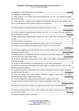 Sistemática e taxonomia de peixes de água doce da América do Sul - 64
Prof. Dr. Francisco Langeani
Laboratório de Ictiologia, DZB, UNESP
Rua Cristóvão Colombo, 2265, Jardim Nazareth
15054-000, SJRPreto, SP
langeani@ibilce.unesp.br, Fone 17 3221.2367
14. Nadadeira caudal obliquamente arredondada ..........................................................Goeldiella
14`. Nadadeira caudal furcada ......................................................................................................15
15. Lábio superior sem margem livre dorso-lateralmente ou com uma pequena margem
livre; focinho largo.........................................................................................................................16
15`. Lábios grandes, o superior com margem livre formando uma aba de pele desde o lado
até o meio da abertura bucal; focinho estreito em vista dorsal.......................................................
................................................................................................................................... Iheringichthys
16. Olhos situados em posição estritamente lateral; anal com 17 raios ..........................................
..................................................................................................................................Parapimelodus
16`. Olhos situados em posiçãosúpero-lateral; anal com 11 a 13 raios. (Às vezes pequenas
áreas de dentes no palato).............................................................................................. Pimelodus
17. Olho degenerado, completamente coberto por pele e não visível externamente; caudal
furcada...........................................................................................................................................18
17’. Olho normal, mas pequeno....................................................................................................20
18. Processo supra-occipital não alcançando a placa nucal; 9 a 11 raios na anal ........................19
18`. Processo supra-occipital alcançando a placa nucal; 12 a 15 raios na anal ................................
.................................................................................................................................... Typhlobagrus
19. Fontanela atingindo a base do processo supra-occipital; espaço entre a adiposa e a dorsal
maior que a base da dorsal ....................................................................................Caecorhamdella
19`. Fontanela não se estendendo além do nível posterior dos olhos; espaço entre a diposa e
a dorsal menor que a base desta última ...................................................................Caecorhamdia
20. Acúleo da dorsal bem desenvolvido, forte; corpo curto; cabeça aproximadamente tão
larga quanto longa.........................................................................................................................21
20`. Acúleo da dorsal pequeno ou substituído por um raio mole, não pungente........................24
21. Superfície dorsal do crânio coberta por pele; origem da pélvica atrás do meio do corpo
(exceto às vezes nos jovens)..........................................................................................................22
21`. Superfície dorsal do crânio coberta com espessa camada de músculos; origem da pélvica
à frente do meio do corpo............................................................................................Brachyglanis
22. Topo da cabeça com cristas ósseas; nadadeira adiposa muito baixa, sua altura
aproximadamente igual ao diâmetro da órbita ..........................................................Lophiosilurus
22`. Topo da cabeça liso; adiposa bem desenvolvida e relativamente alta..................................23
23. Faixa de dentes do pré-maxilar com um ângulo projetando-se para trás..................................
............................................................................................................................. Pseudopimelodus
23`. Faixa de dentes do pré-maxilar sem ângulo projetando-se para trás lateralmente .................
....................................................................................................................................... Microglanis
24. Acúleo da peitoral forte e curto; crânio coberto com espessa camada de músculos; anal
com 17 raios ou mais........................................................................................................Myoglanis
24`. Acúleo da peitoral fraco ou ausente ......................................................................................25
 