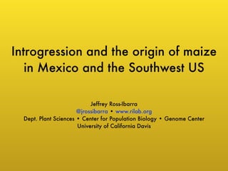 Introgression and the origin of maize 
in Mexico and the Southwest US 
Jeffrey Ross-Ibarra 
@jrossibarra • www.rilab.org 
Dept. Plant Sciences • Center for Population Biology • Genome Center 
University of California Davis 
 