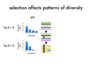 selection affects patterns of diversity 
SFS 
Proportion 
SNPs 
0.7 
0.525 
0.35 
0.175 
0 
1 2 3 4 
Individuals 
Proporti...