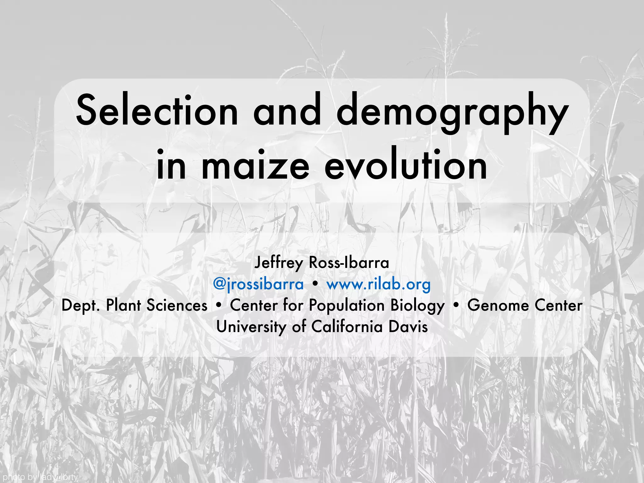 Selection and demography
in maize evolution
Jeffrey Ross-Ibarra
@jrossibarra • www.rilab.org
Dept. Plant Sciences • Center for Population Biology • Genome Center
University of California Davis
photo by lady_lbrty
 