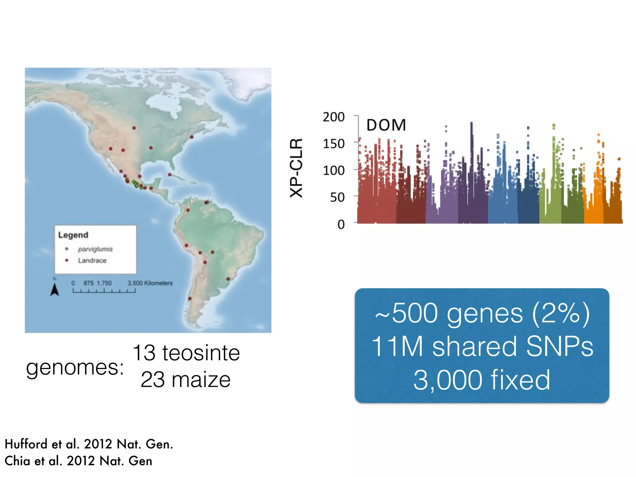 Hufford et al. 2012 Nat. Gen.
Chia et al. 2012 Nat. Gen
13 teosinte
23 maize
~500 genes (2%)
11M shared SNPs
3,000 ﬁxed
genomes:
 
