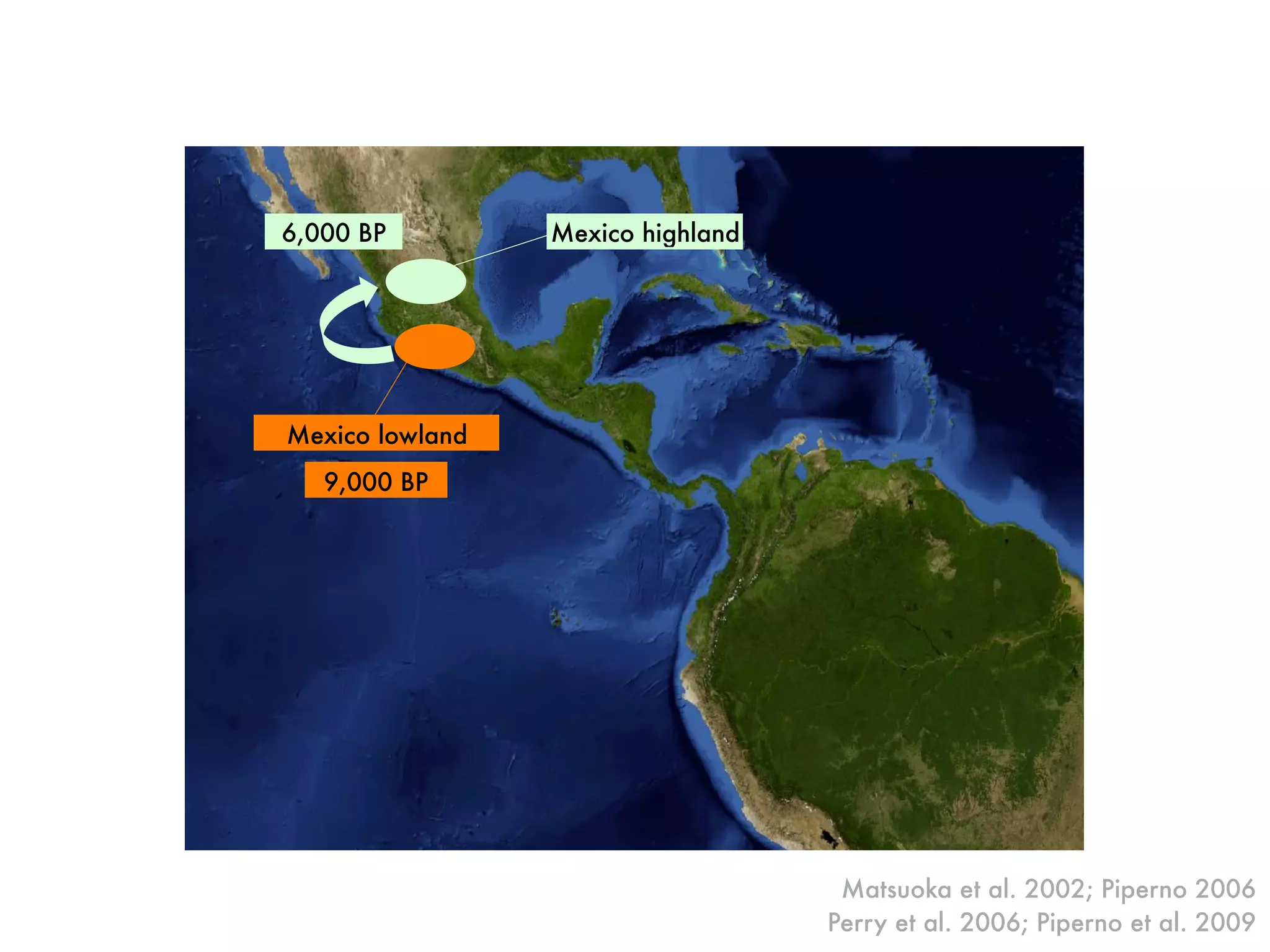Mexico highland6,000 BP
Mexico lowland
9,000 BP
Matsuoka et al. 2002; Piperno 2006
Perry et al. 2006; Piperno et al. 2009
 