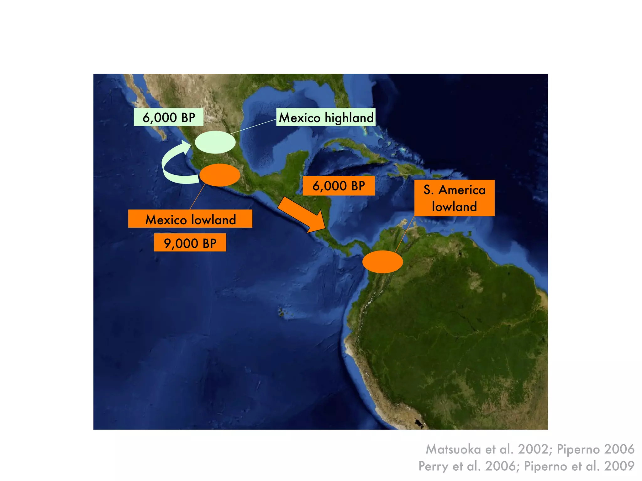 Mexico highland6,000 BP
S. America
lowland
6,000 BP
Mexico lowland
9,000 BP
Matsuoka et al. 2002; Piperno 2006
Perry et al. 2006; Piperno et al. 2009
 