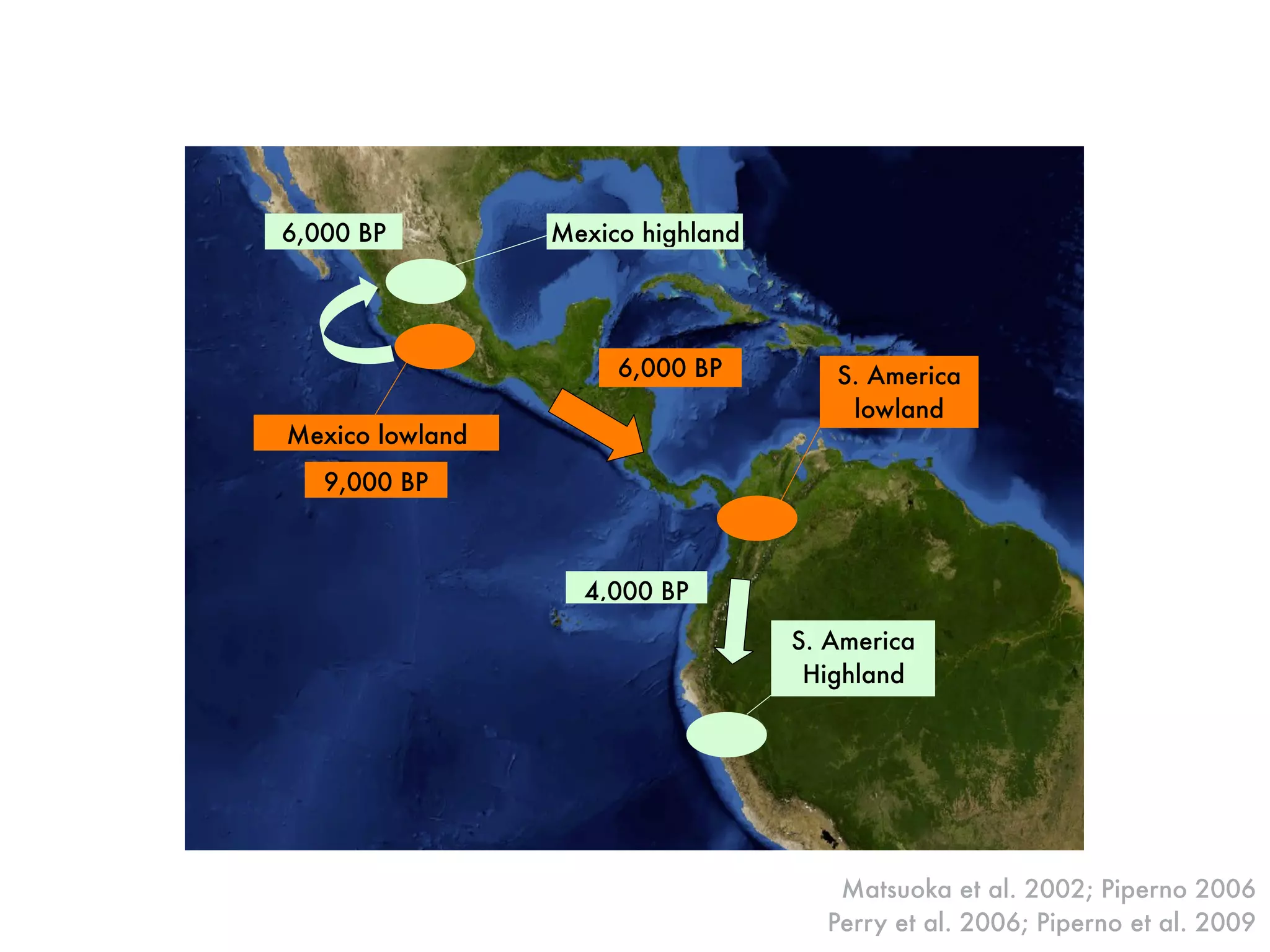 Mexico highland6,000 BP
S. America
lowland
6,000 BP
S. America
Highland
4,000 BP
Mexico lowland
9,000 BP
Matsuoka et al. 2002; Piperno 2006
Perry et al. 2006; Piperno et al. 2009
 