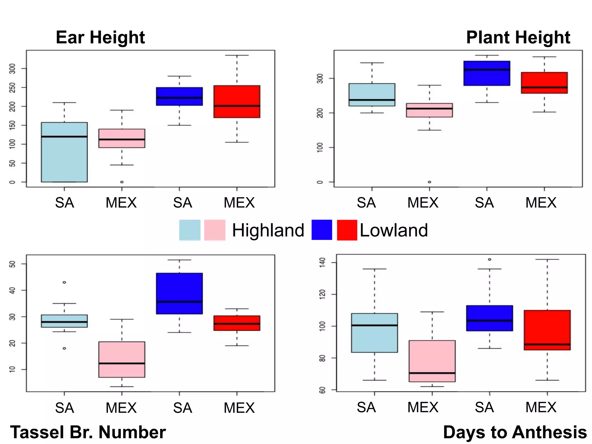 SA MEX SA MEX
SA MEX SA MEX SA MEX SA MEX
Ear Height Plant Height
Tassel Br. Number
TW
Days to Anthesis
SA MEX SA MEX
SA MEX SA MEX
LowlandHighland
 