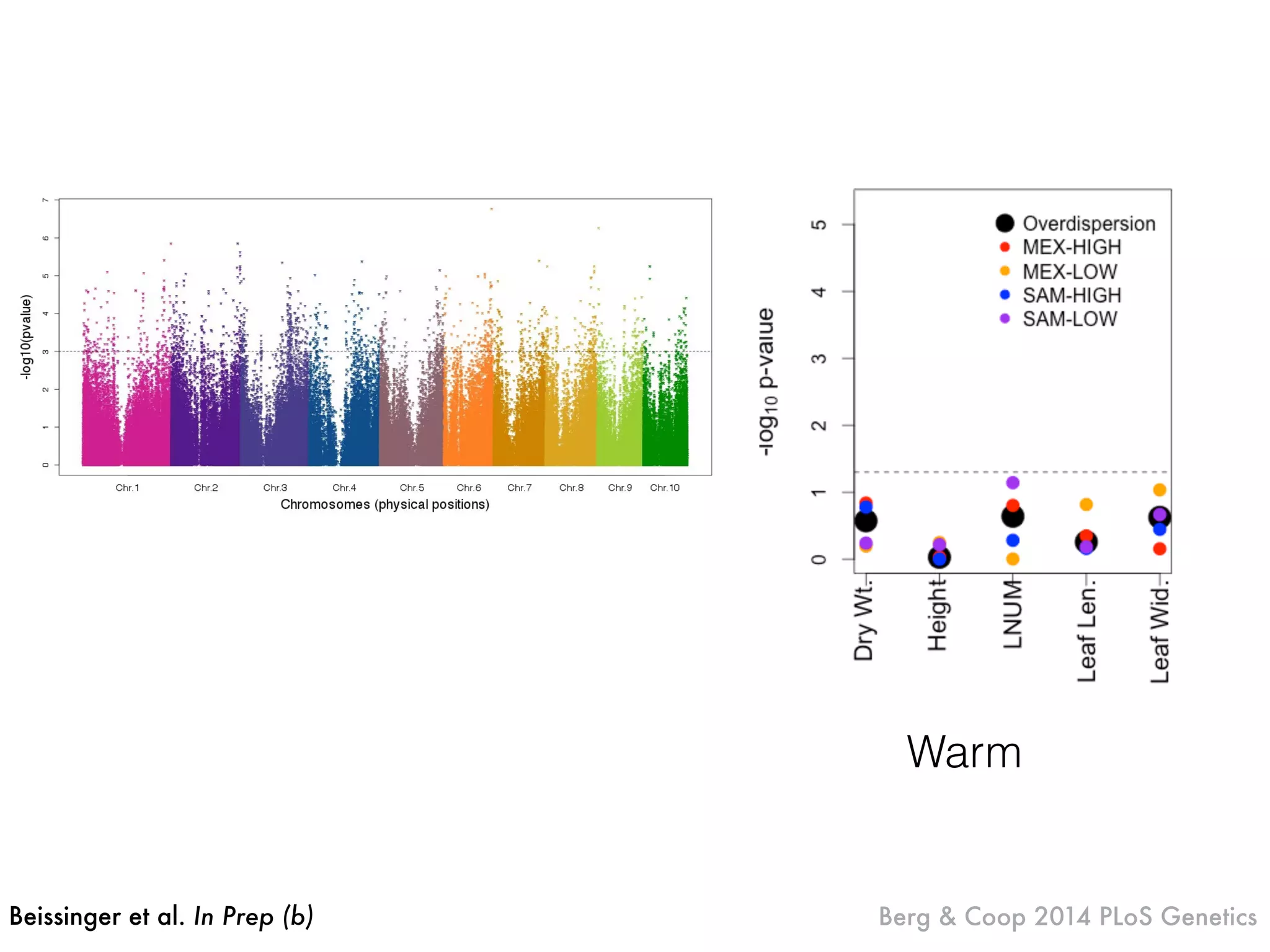 Beissinger et al. In Prep (b) Berg & Coop 2014 PLoS Genetics
Warm
 