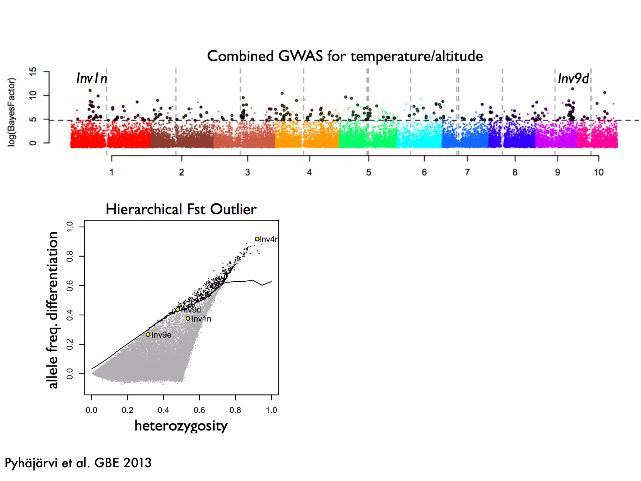 Pyhäjärvi et al. GBE 2013
 