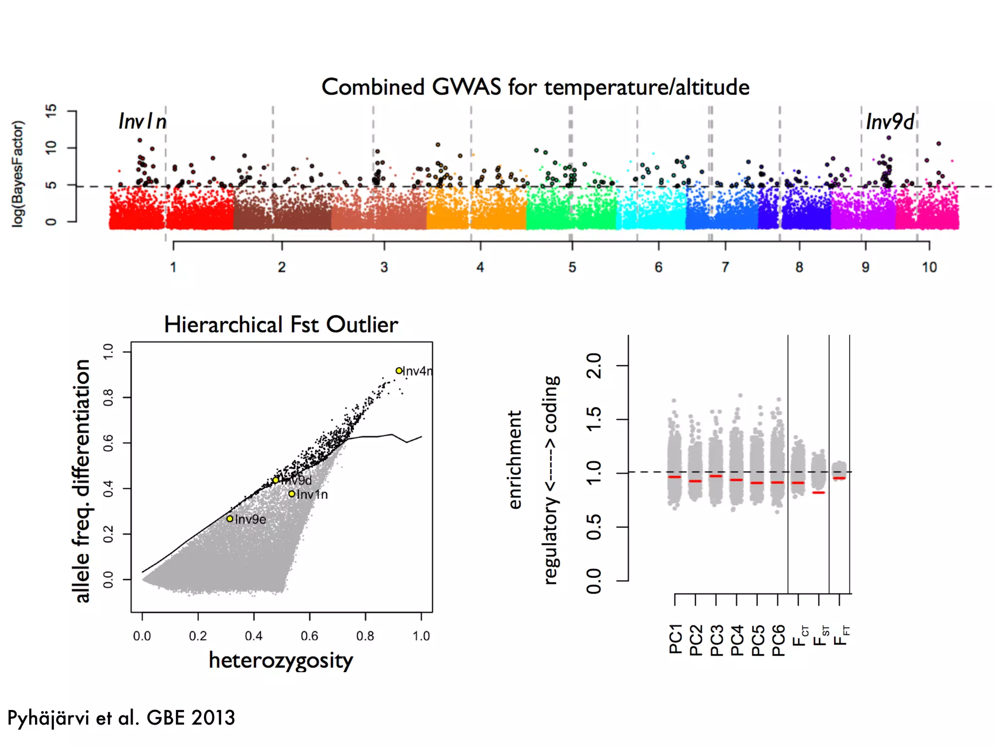 Pyhäjärvi et al. GBE 2013
 