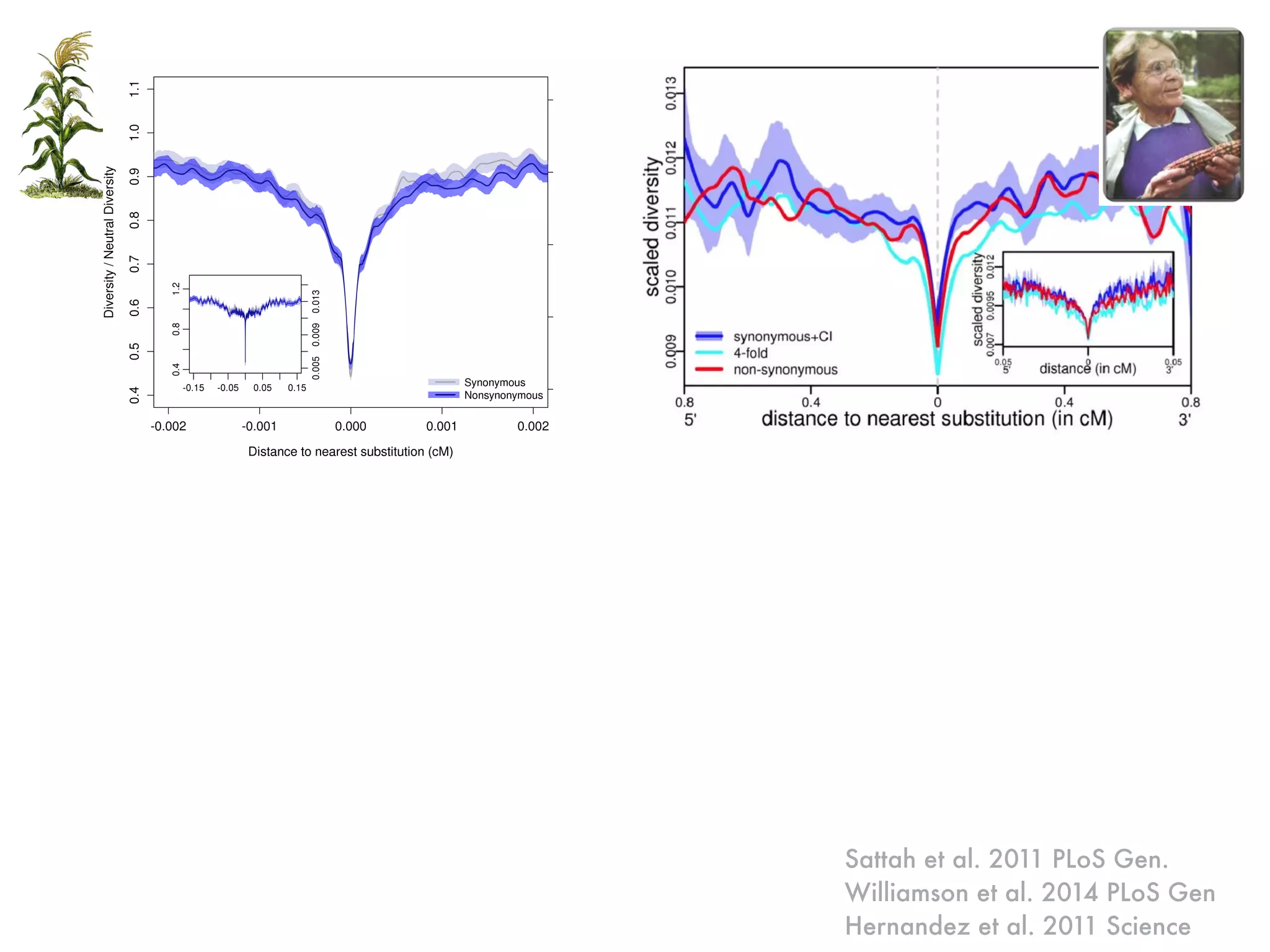 Sattah et al. 2011 PLoS Gen.
Williamson et al. 2014 PLoS Gen
Hernandez et al. 2011 Science
 