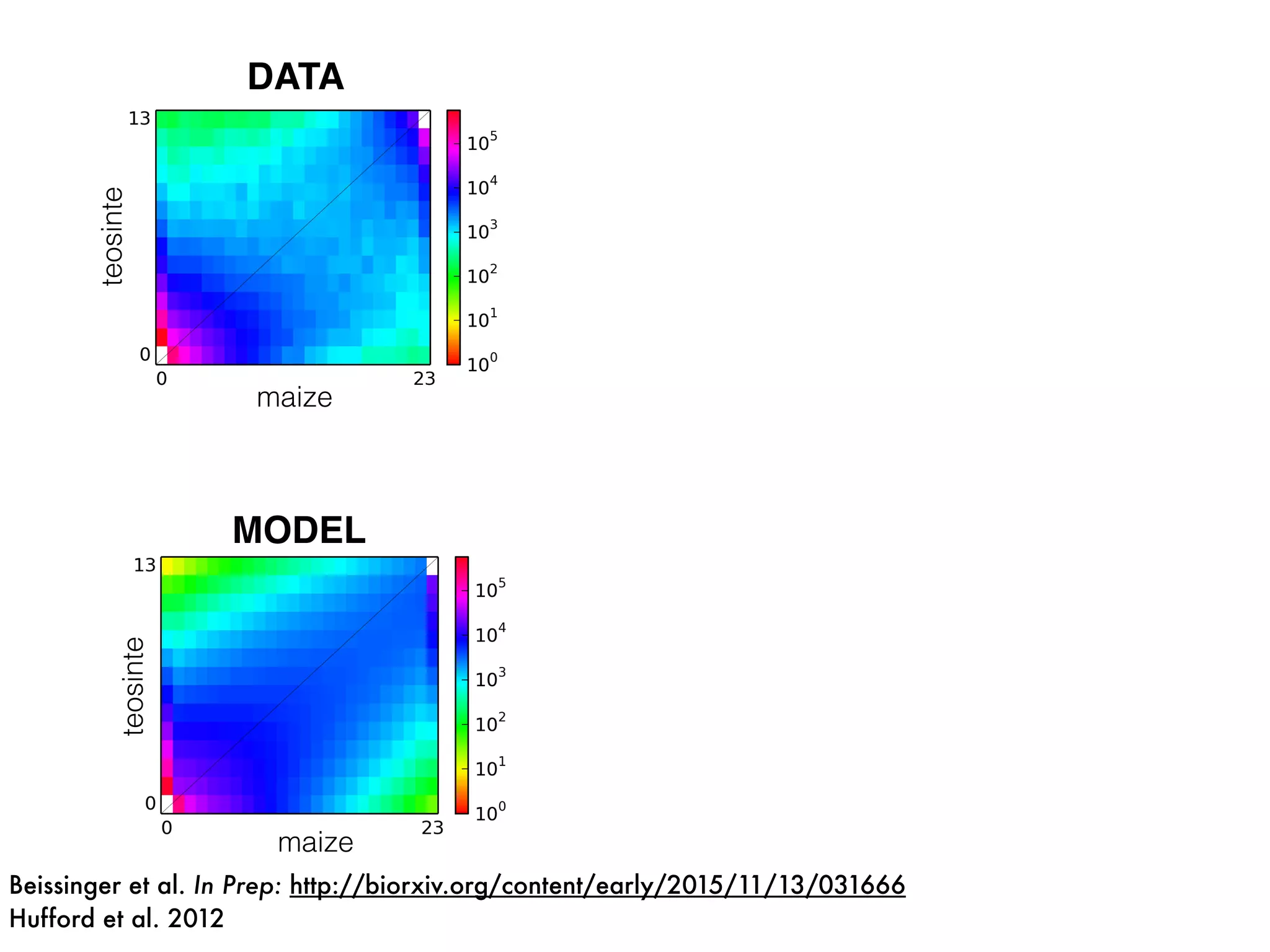 teosinte
maize
DATA
teosinte
maize
MODEL
Beissinger et al. In Prep: http://biorxiv.org/content/early/2015/11/13/031666
Hufford et al. 2012
 