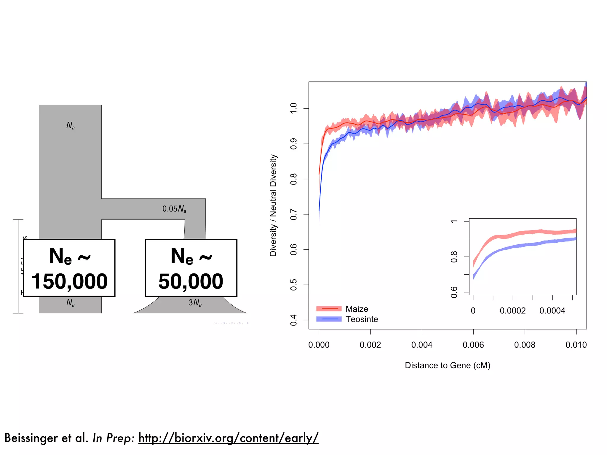 Ne ~
150,000
Ne ~
50,000
Beissinger et al. In Prep: http://biorxiv.org/content/early/
 