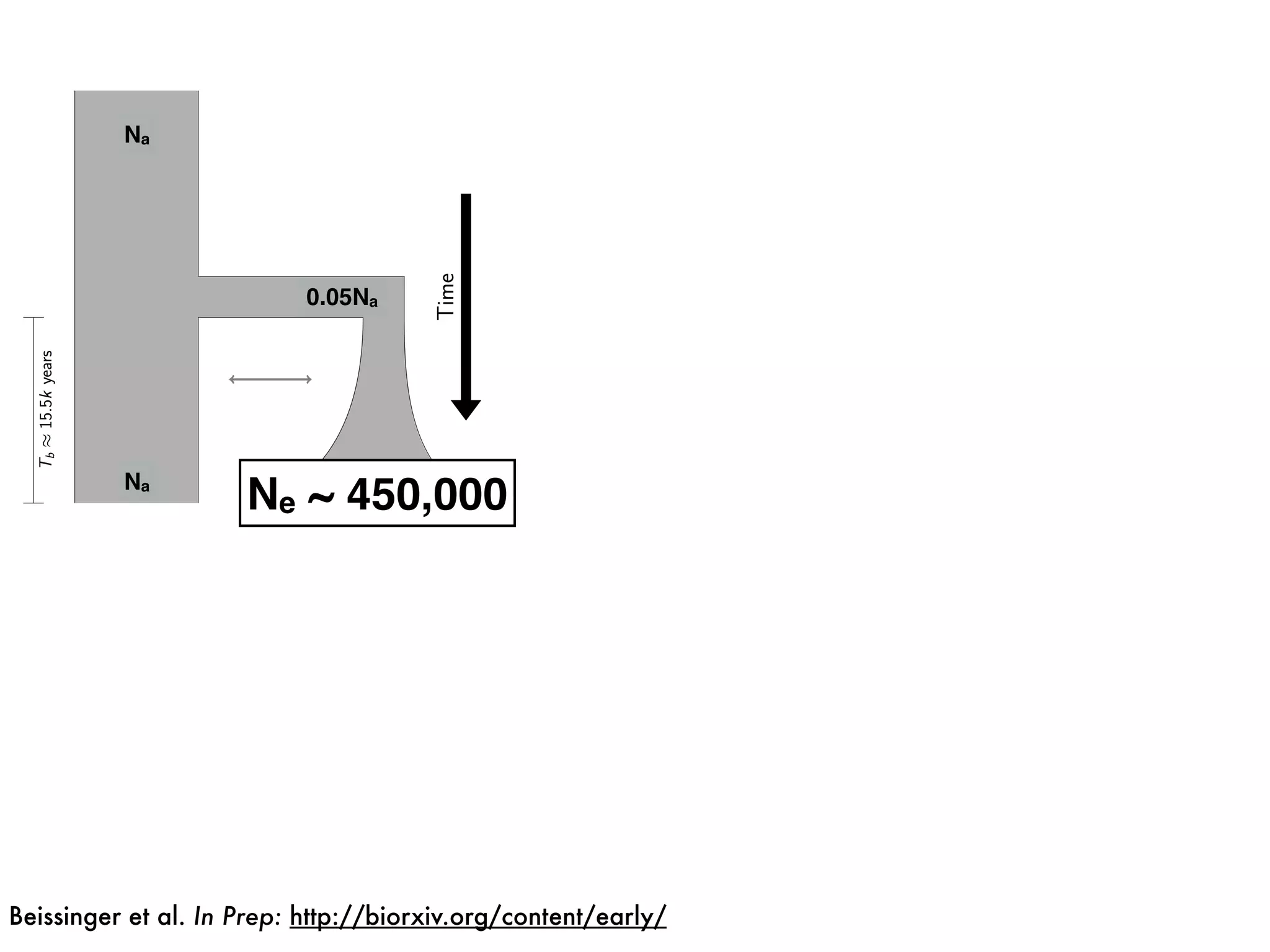 0.05Na
Na
Na 3Na
Ne ~ 450,000
Beissinger et al. In Prep: http://biorxiv.org/content/early/
 