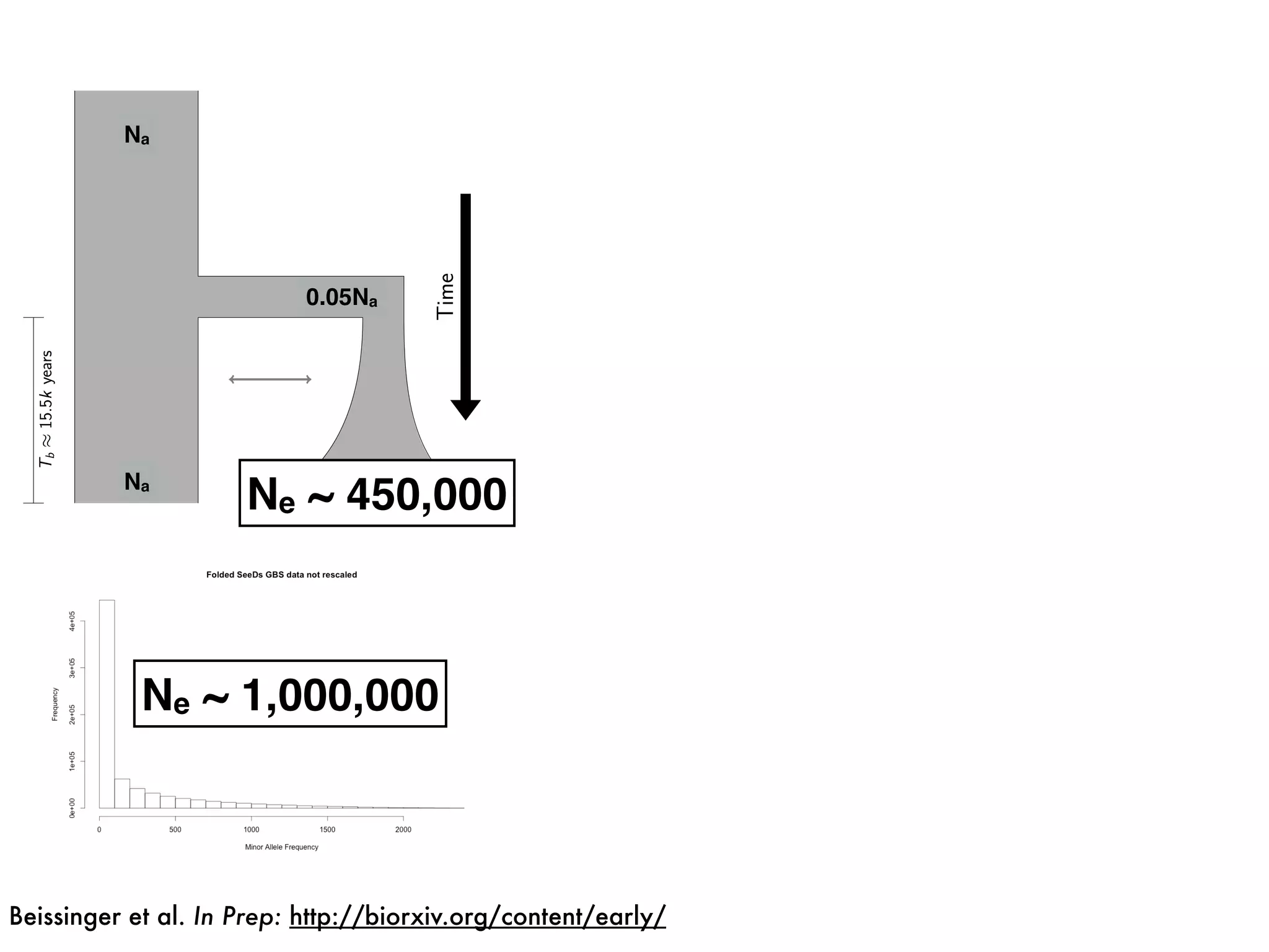 0.05Na
Na
Na 3Na
Ne ~ 450,000
Ne ~ 1,000,000
Beissinger et al. In Prep: http://biorxiv.org/content/early/
 