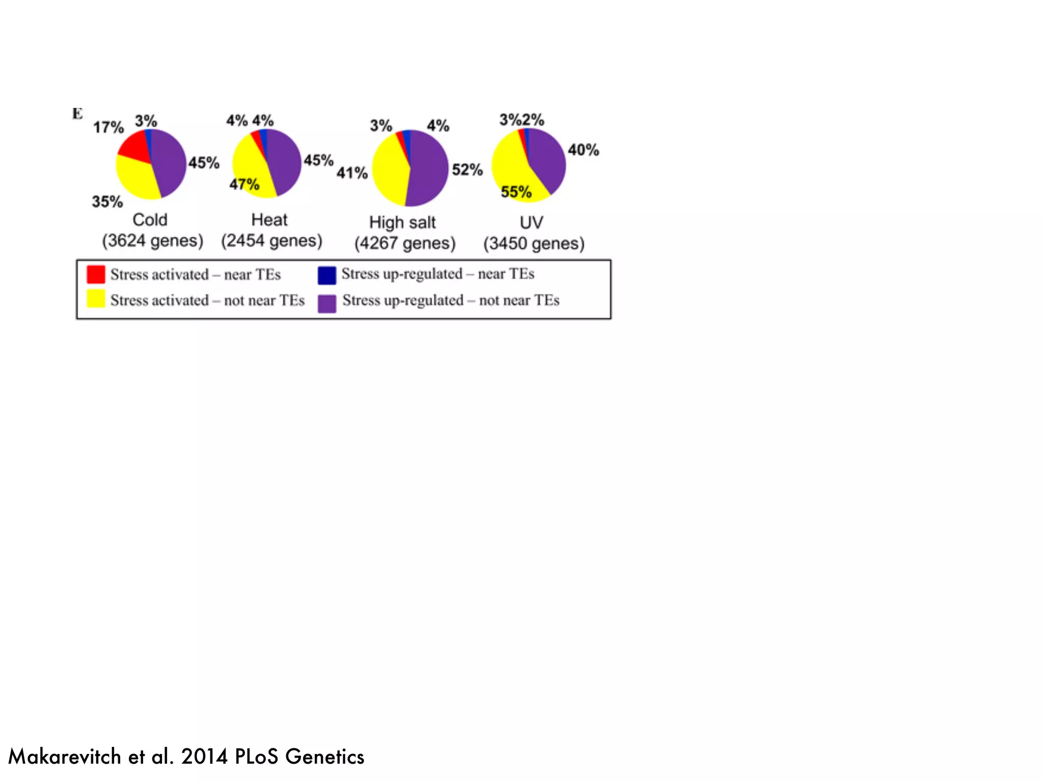 Makarevitch et al. 2014 PLoS Genetics
 