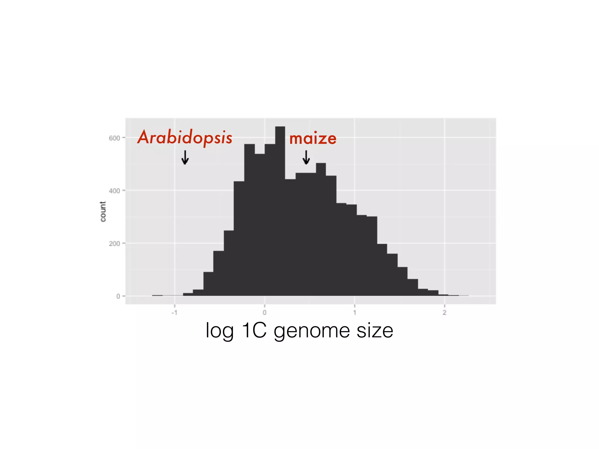 Brandon Gaut
maizeArabidopsis
Kew C-Value Database
log 1C genome size
 