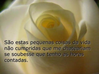São estas pequenas coisas da vida
não cumpridas que me chateariam
se soubesse que tenho as horas
contadas.
 