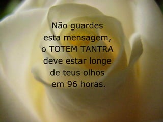 Não guardes
esta mensagem,
o TOTEM TANTRA
deve estar longe
  de teus olhos
  em 96 horas.
 