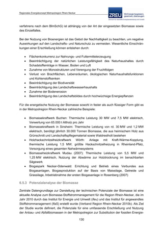 Langfassung energiekonzept web