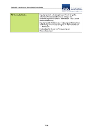 Langfassung energiekonzept web