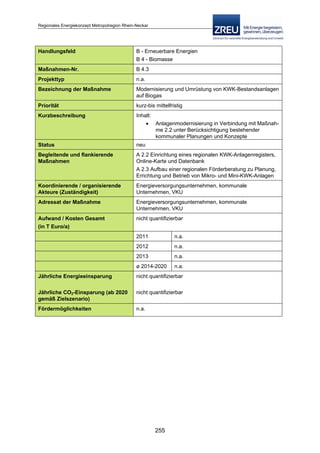 Langfassung energiekonzept web