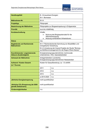 Langfassung energiekonzept web