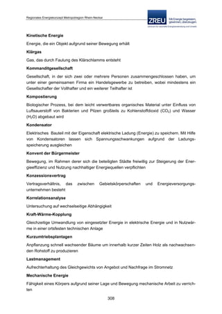 Langfassung energiekonzept web