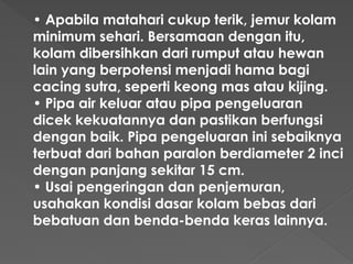 Langkah-langkah budidaya cacing sutera-1.pptx