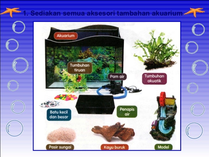 Menyediakan Dan Menghias Akurium Ikan Hiasan