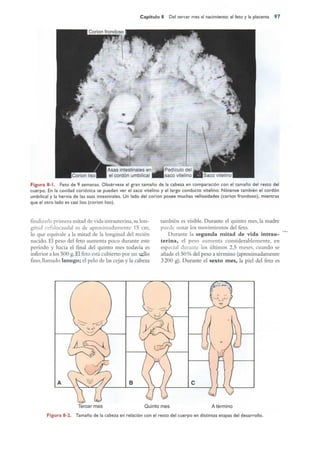 Langman.embriologia.medica.12ª