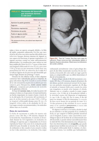 Langman.embriologia.medica.12ª