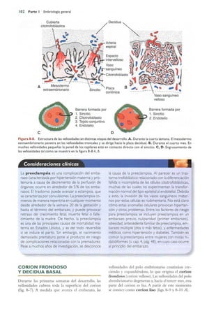 Langman.embriologia.medica.12ª