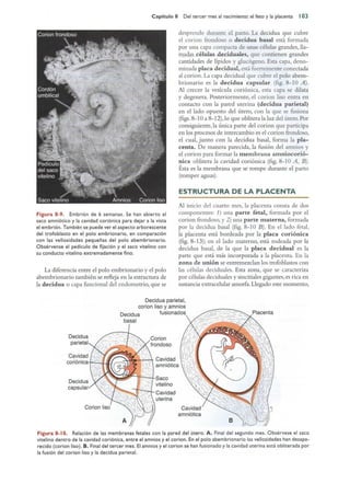 Langman.embriologia.medica.12ª