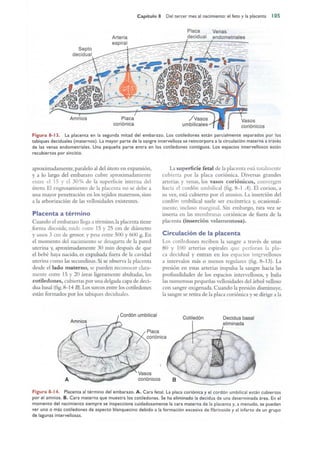 Langman.embriologia.medica.12ª