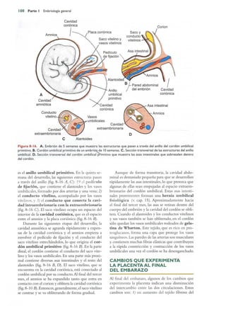 Langman.embriologia.medica.12ª