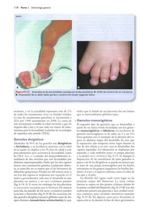 Langman.embriologia.medica.12ª