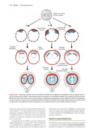 Langman.embriologia.medica.12ª