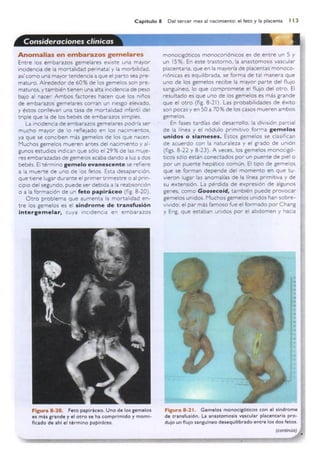 Langman.embriologia.medica.12ª