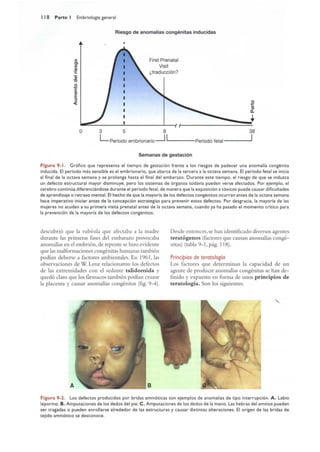 Langman.embriologia.medica.12ª