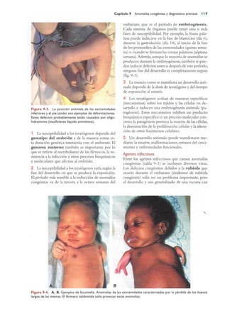 Langman.embriologia.medica.12ª