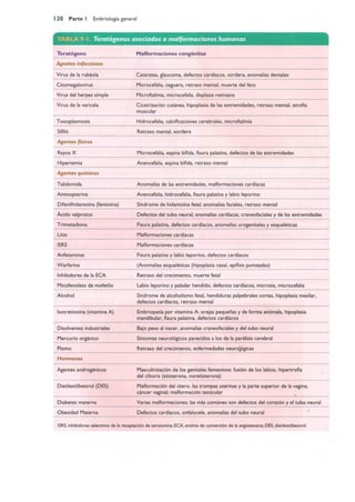 Langman.embriologia.medica.12ª