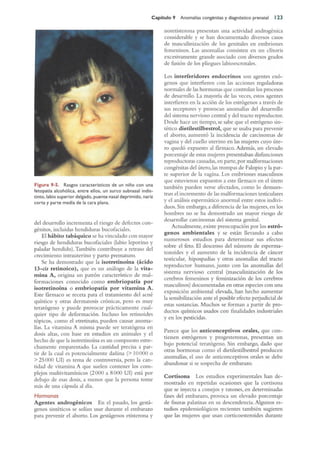 Langman.embriologia.medica.12ª