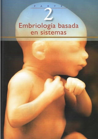 Langman.embriologia.medica.12ª