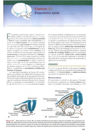 Langman.embriologia.medica.12ª