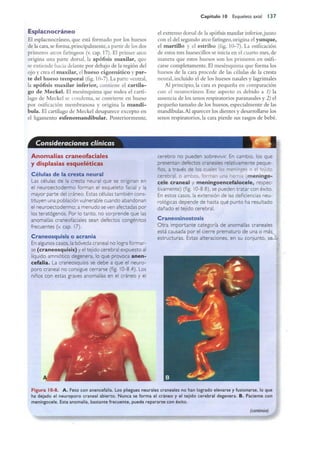 Langman.embriologia.medica.12ª